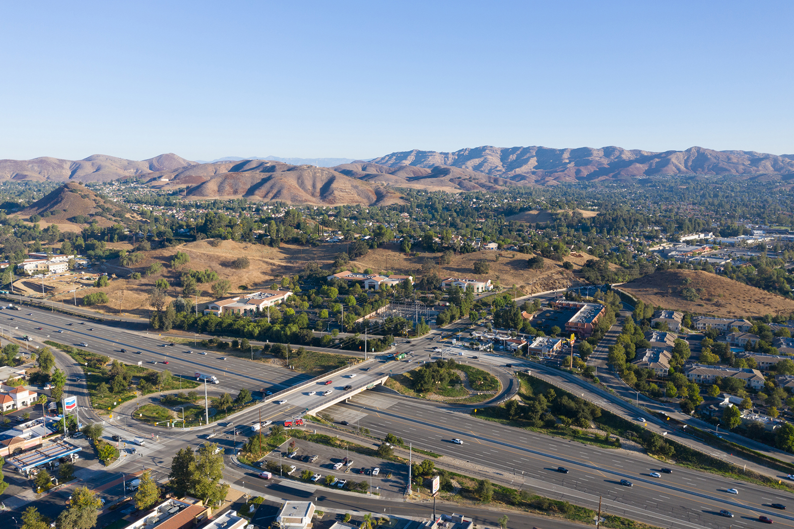 Conejo Photo