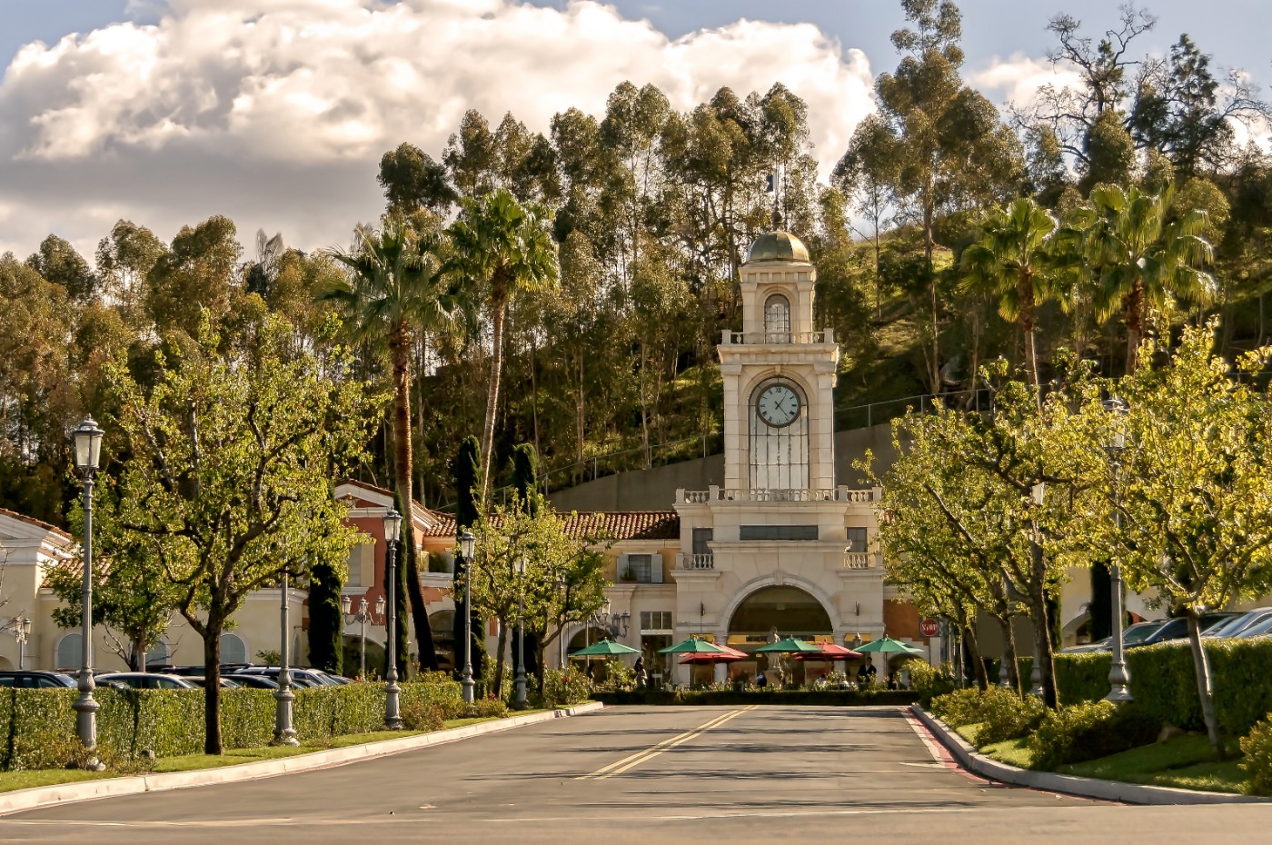 Conejo Photo
